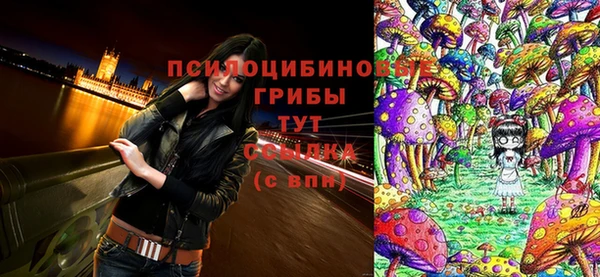 дмт Баксан