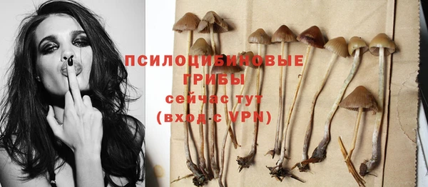 дмт Баксан
