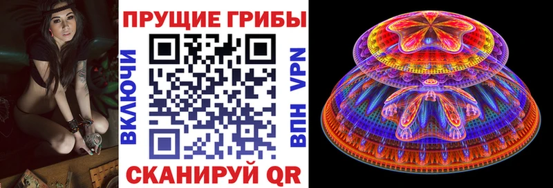 Купить  Североморск  Псилоцибиновые грибы ЛСД 